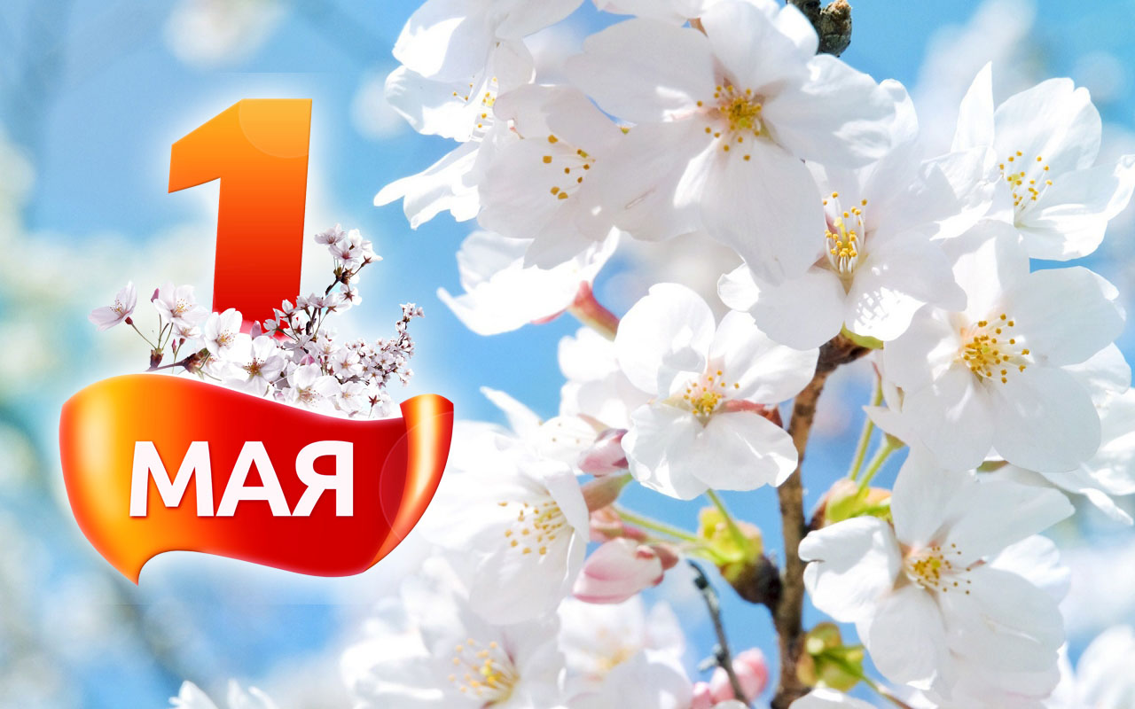 1 мая